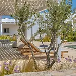 Villamar - Private With Pool In Naoussa Vila Páros
